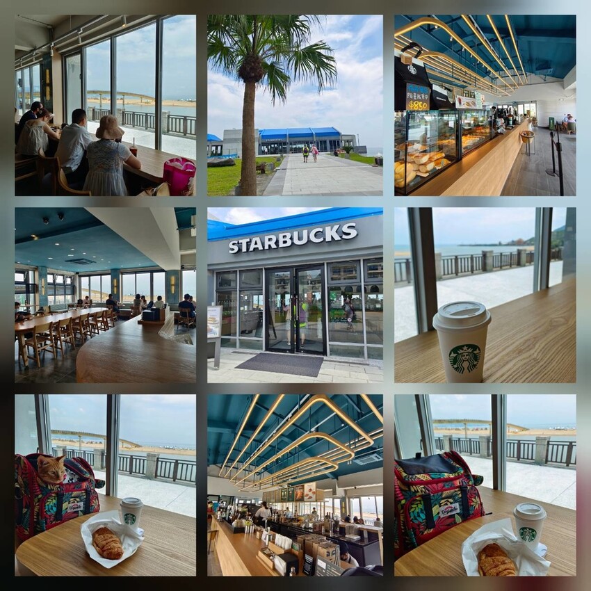 【台北.貢寮】貢寮旅行寵物友善懶人包。最強海鮮+最美免費景點。帶著寵物旅行去