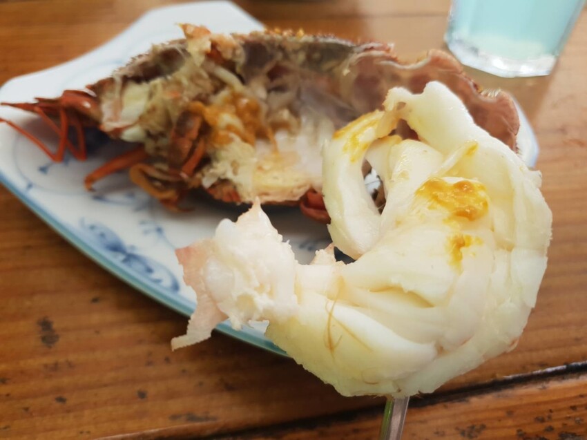 【台北.貢寮】貢寮旅行寵物友善懶人包。最強海鮮+最美免費景點。帶著寵物旅行去