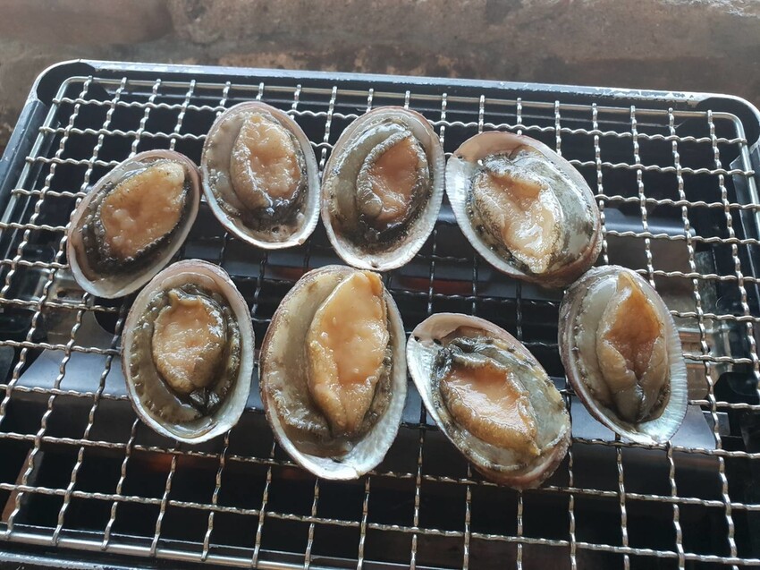 【台北.貢寮】貢寮旅行寵物友善懶人包。最強海鮮+最美免費景點。帶著寵物旅行去