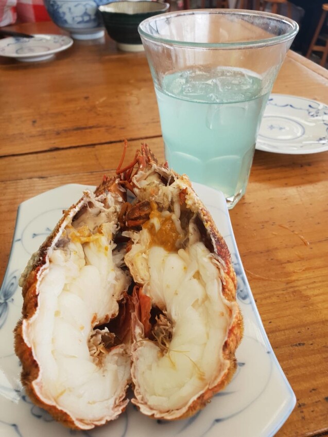 【台北.貢寮】貢寮旅行寵物友善懶人包。最強海鮮+最美免費景點。帶著寵物旅行去