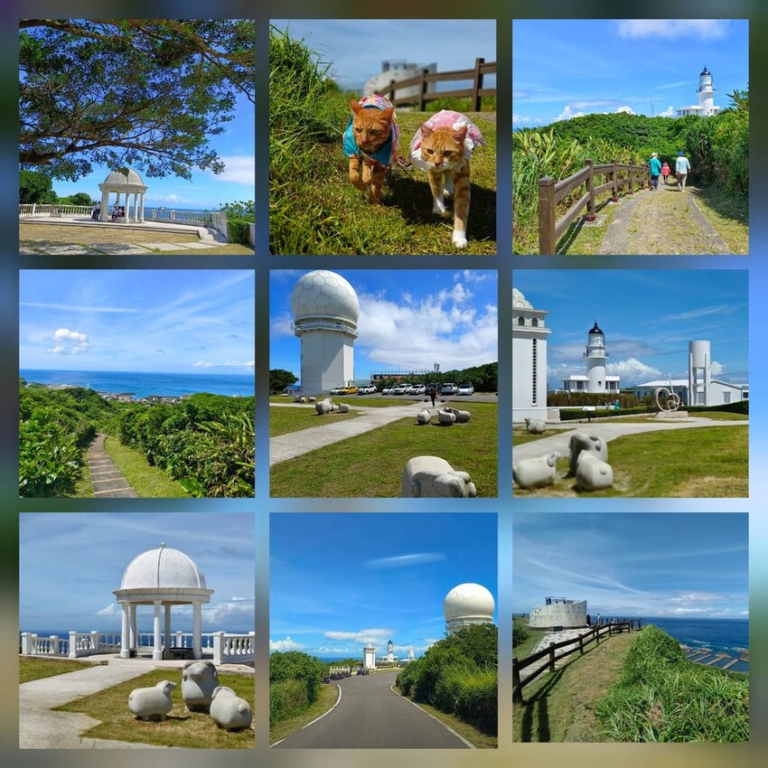 【台北.貢寮】貢寮旅行寵物友善懶人包。最強海鮮+最美免費景點。帶著寵物旅行去