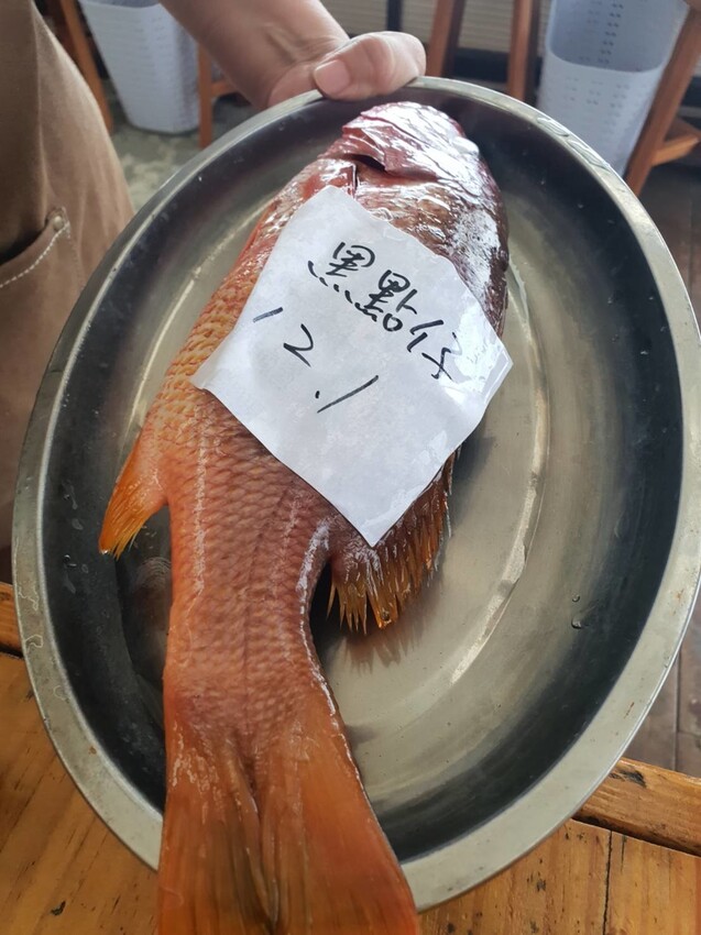 【台北.貢寮】貢寮旅行寵物友善懶人包。最強海鮮+最美免費景點。帶著寵物旅行去