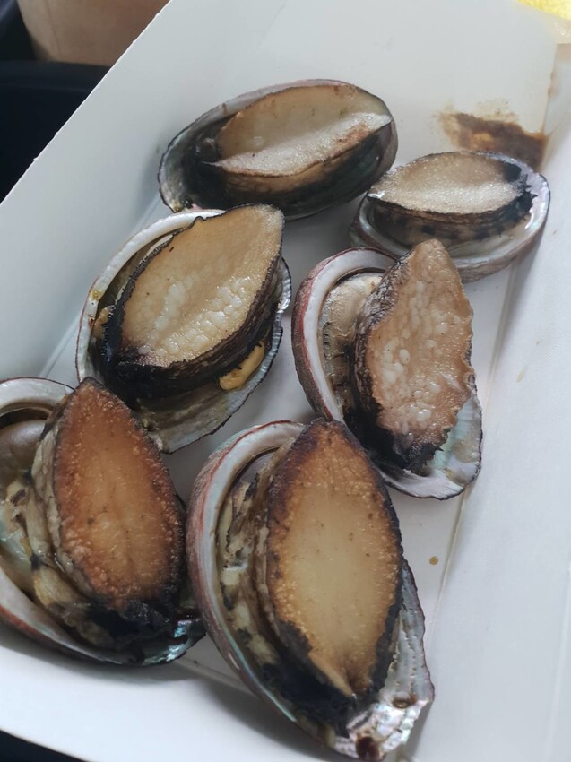 【台北.貢寮】貢寮旅行寵物友善懶人包。最強海鮮+最美免費景點。帶著寵物旅行去