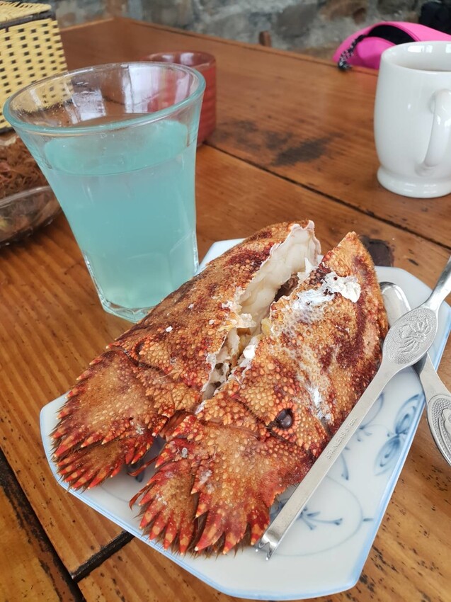 【台北.貢寮】貢寮旅行寵物友善懶人包。最強海鮮+最美免費景點。帶著寵物旅行去