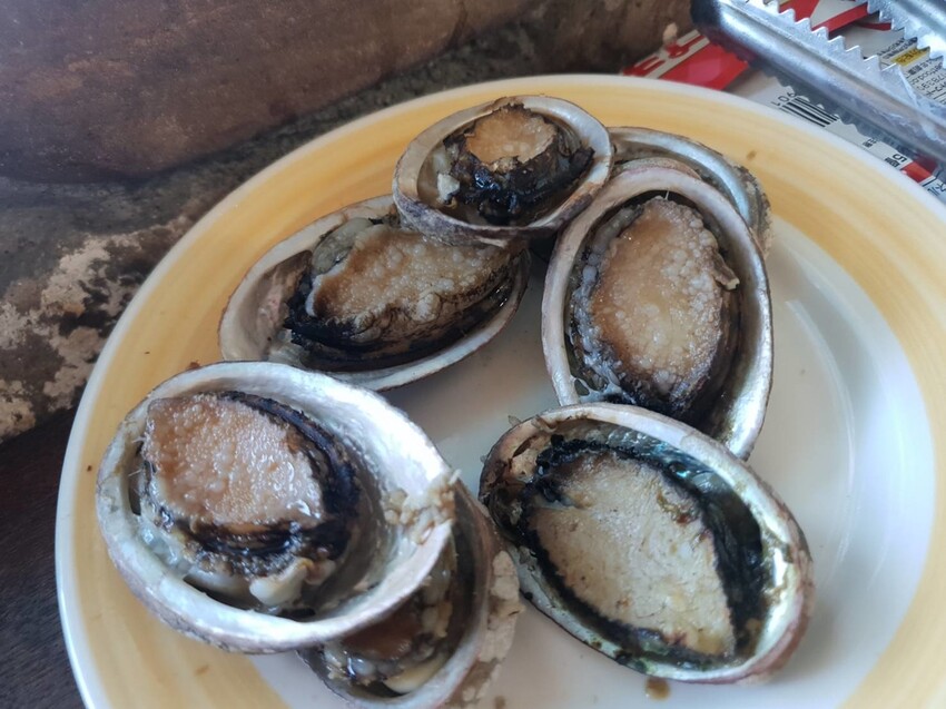 【台北.貢寮】貢寮旅行寵物友善懶人包。最強海鮮+最美免費景點。帶著寵物旅行去