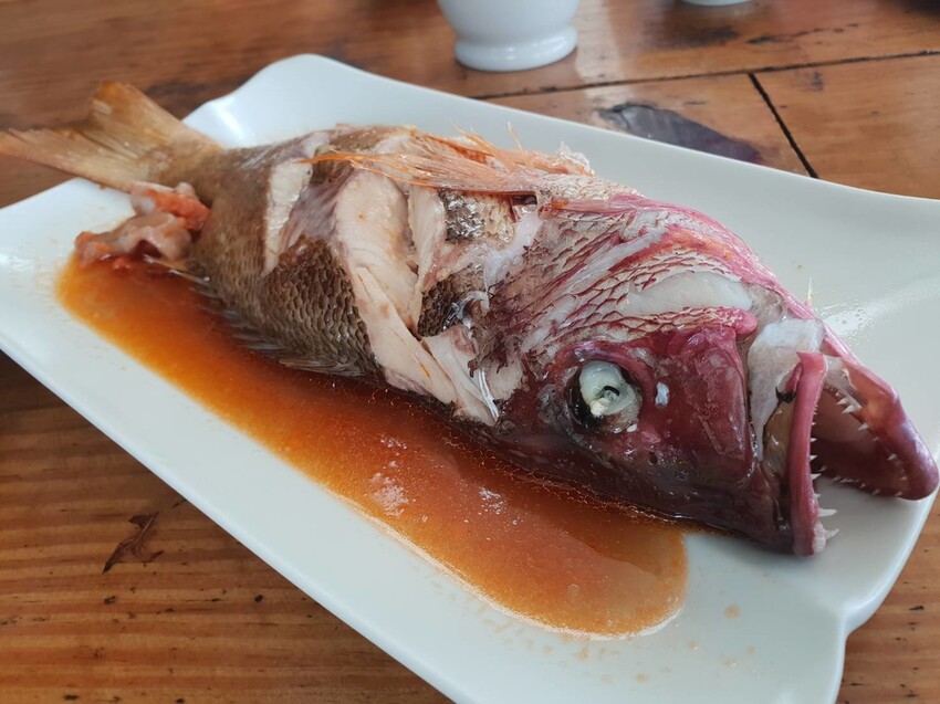 【台北.貢寮】貢寮旅行寵物友善懶人包。最強海鮮+最美免費景點。帶著寵物旅行去