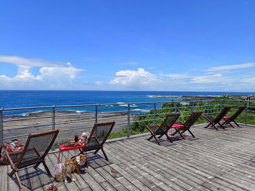 【台北.貢寮】貢寮旅行寵物友善懶人包。最強海鮮+最美免費景點。帶著寵物旅行去