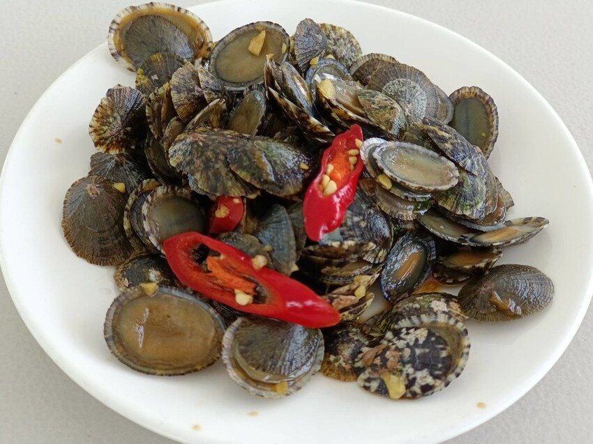 【台北.貢寮】貢寮旅行寵物友善懶人包。最強海鮮+最美免費景點。帶著寵物旅行去