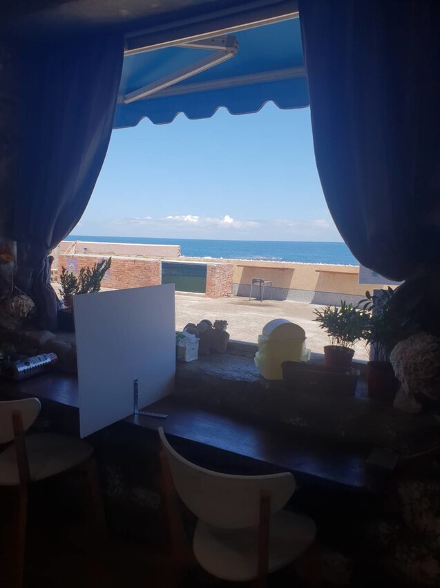 【台北.貢寮】貢寮旅行寵物友善懶人包。最強海鮮+最美免費景點。帶著寵物旅行去