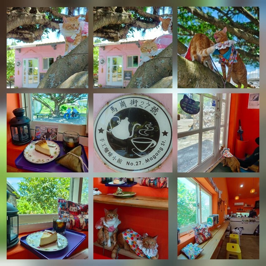 【台北.貢寮】貢寮旅行寵物友善懶人包。最強海鮮+最美免費景點。帶著寵物旅行去