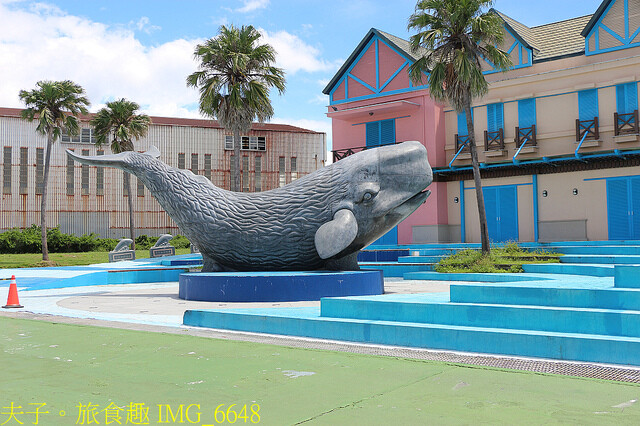 IMG_6648.jpg - 多羅滿賞鯨 20220629