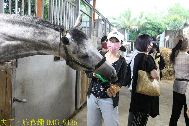 IMG_9136.jpg - 台灣馬樂活山莊 20220708 IMG_9136.jpg - 台灣馬樂活山莊 20220708