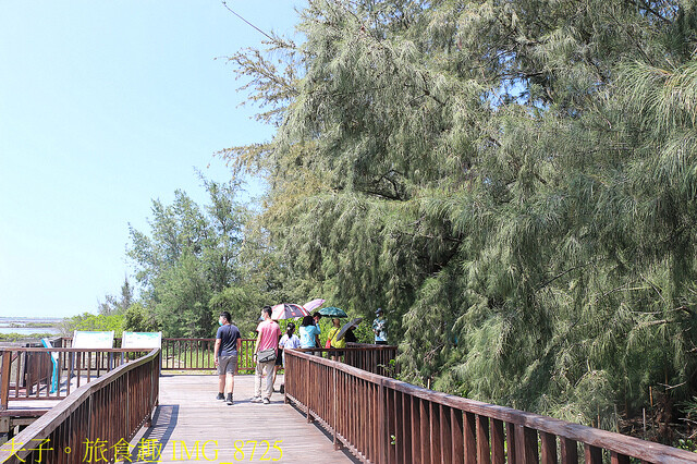 IMG_8725.jpg - 台南七股龍海號 20220708 IMG_8725.jpg - 台南七股龍海號 20220708