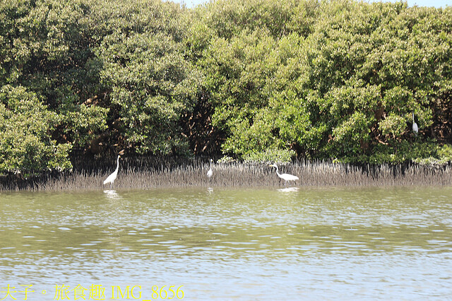 IMG_8656.jpg - 台南七股龍海號 20220708 IMG_8656.jpg - 台南七股龍海號 20220708