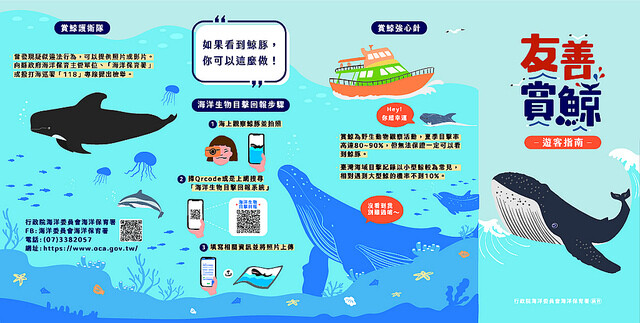 友善賞鯨dm_完稿印刷檔_正面.jpg - 多羅滿賞鯨 20220629