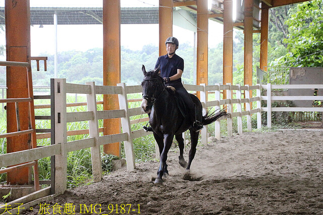 IMG_9187-1.jpg - 台灣馬樂活山莊 20220708 IMG_9187-1.jpg - 台灣馬樂活山莊 20220708
