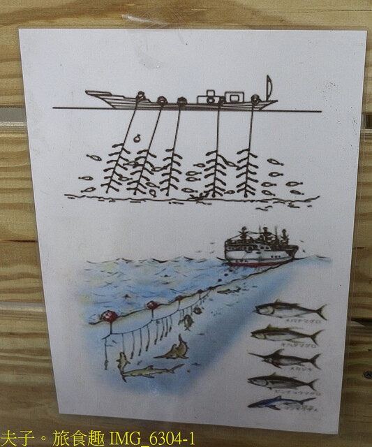 宜蘭頭城 龜山島友善賞鯨 X 梗枋漁港漁村廚房 X 川岩下午茶