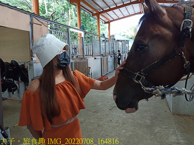 IMG_20220708_164816.jpg - 台灣馬樂活山莊 20220708 IMG_20220708_164816.jpg - 台灣馬樂活山莊 20220708