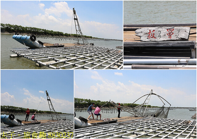 8830237.jpg - 台南七股龍海號 20220708 8830237.jpg - 台南七股龍海號 20220708