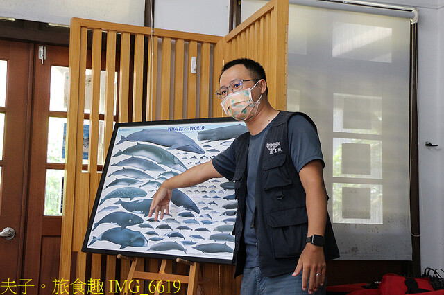 花蓮 多羅滿賞鯨 X 洄遊吧七星潭摸魚趣