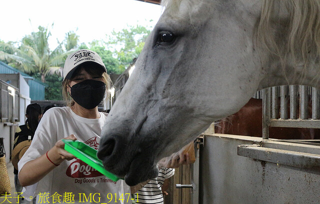 IMG_9147-1.jpg - 台灣馬樂活山莊 20220708 IMG_9147-1.jpg - 台灣馬樂活山莊 20220708