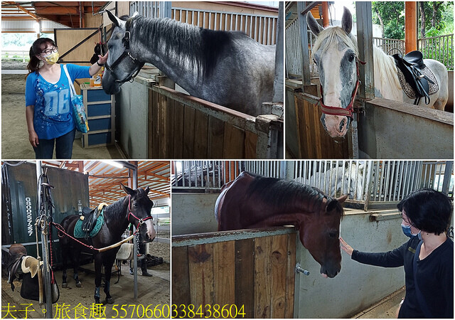 5570660338438604.jpg - 台灣馬樂活山莊 20220708 5570660338438604.jpg - 台灣馬樂活山莊 20220708