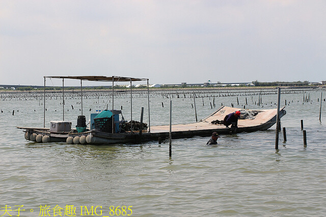 IMG_8685.jpg - 台南七股龍海號 20220708 IMG_8685.jpg - 台南七股龍海號 20220708