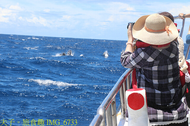 IMG_6733.jpg - 多羅滿賞鯨 20220629