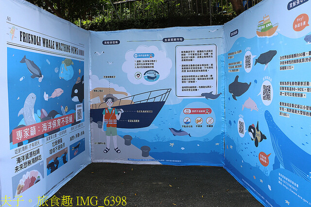 宜蘭頭城 龜山島友善賞鯨 X 梗枋漁港漁村廚房 X 川岩下午茶