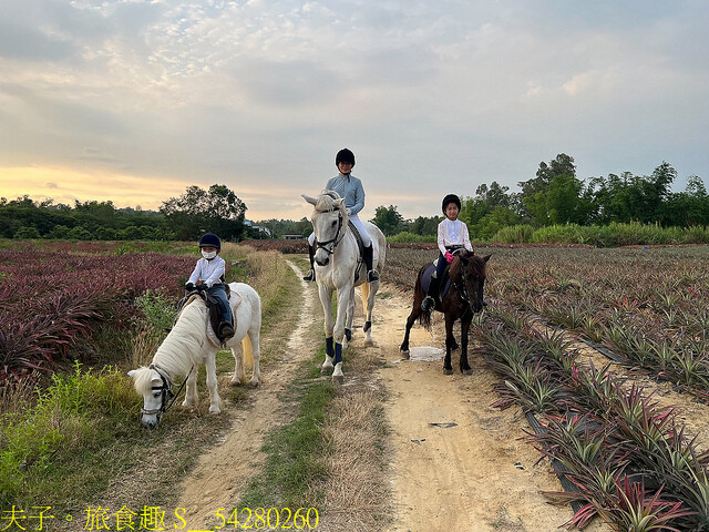 S__54280260.jpg - 台灣馬樂活山莊 20220708 S__54280260.jpg - 台灣馬樂活山莊 20220708