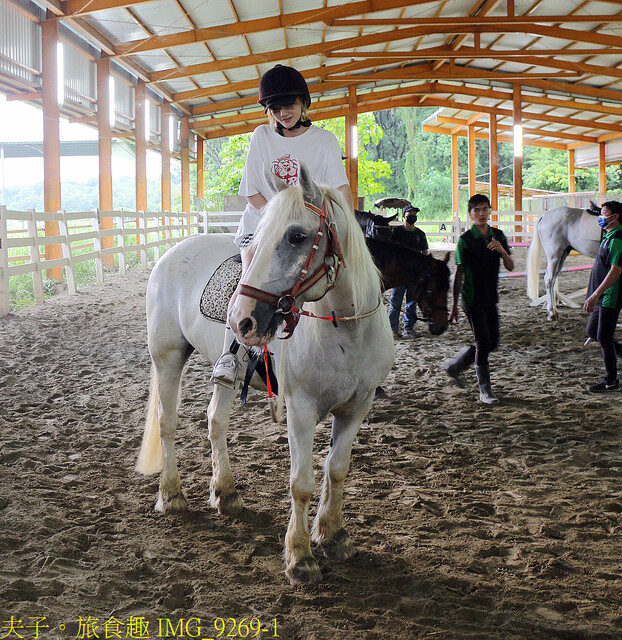 龍海號生態之旅 X 七股鹽山鹽宇宙 X 馬術體驗