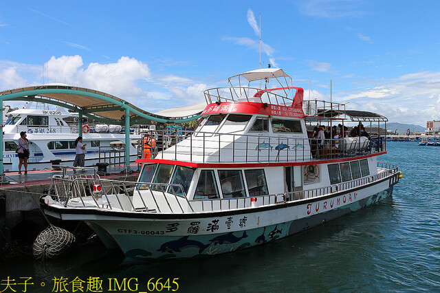 IMG_6645.jpg - 多羅滿賞鯨 20220629