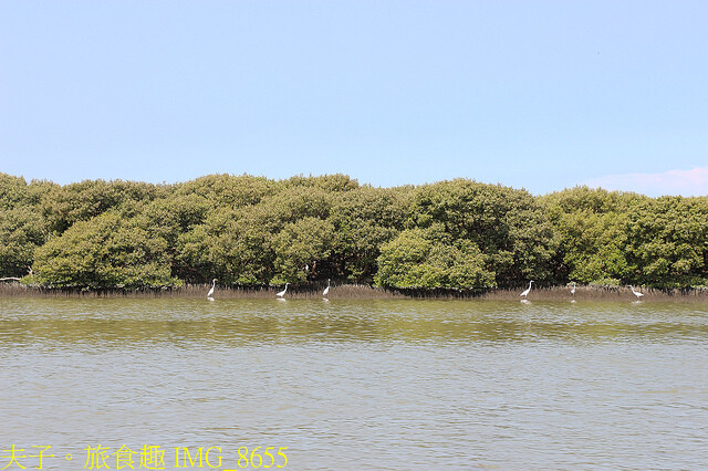 IMG_8655.jpg - 台南七股龍海號 20220708 IMG_8655.jpg - 台南七股龍海號 20220708