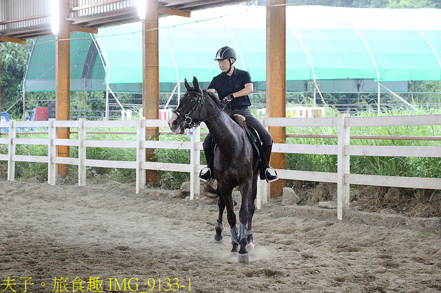 IMG_9133-1.jpg - 台灣馬樂活山莊 20220708 IMG_9133-1.jpg - 台灣馬樂活山莊 20220708