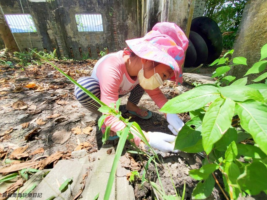 宜蘭親子旅遊卡稻農植物染體驗活動