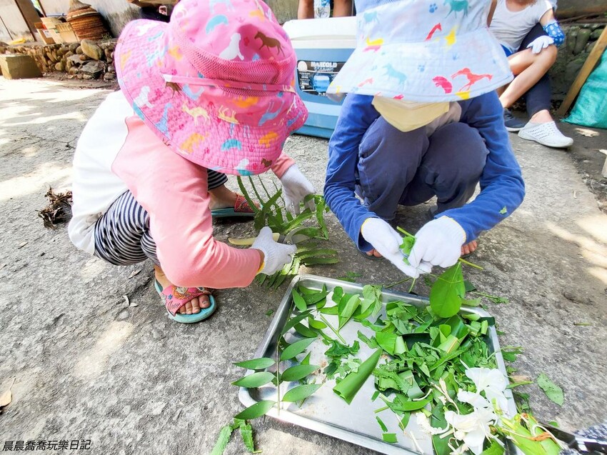 宜蘭親子旅遊卡稻農植物染體驗活動