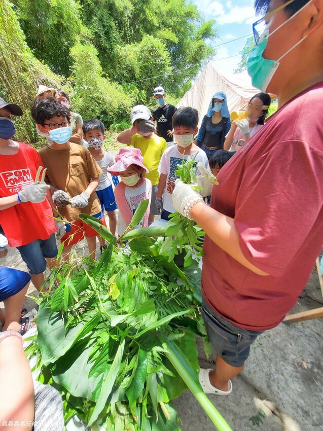 宜蘭親子旅遊卡稻農植物染體驗活動