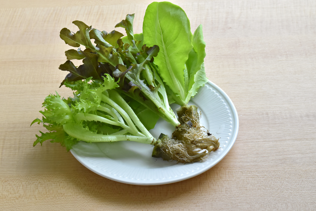 台中生菜宅配到家，宅小青生菜盒超新鮮！高CP值台中生菜宅配推薦