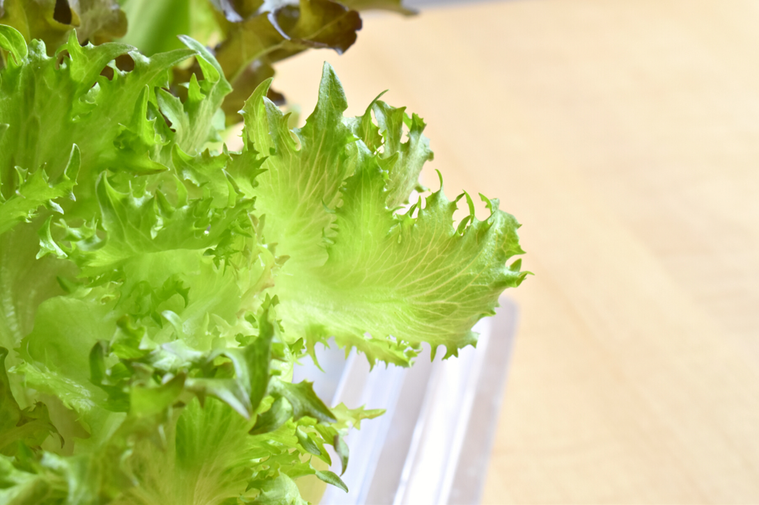 台中生菜宅配到家，宅小青生菜盒超新鮮！高CP值台中生菜宅配推薦