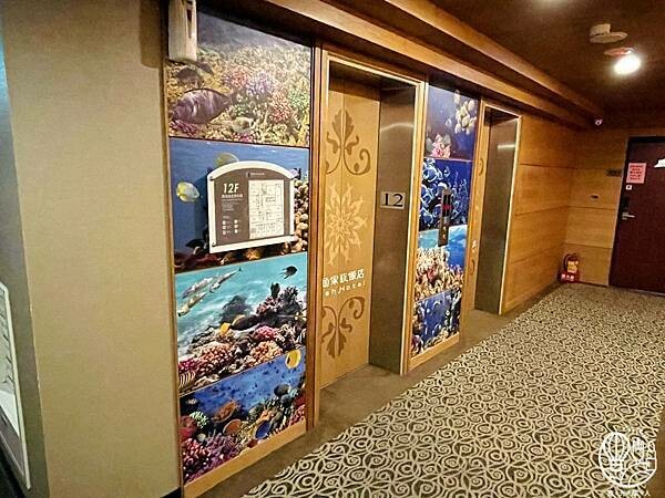 IMG_2520.jpg IMG_2520.jpg