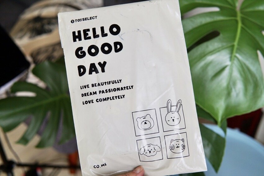 TOYSELECT拓伊生活iPhone手機殼實品開箱分享