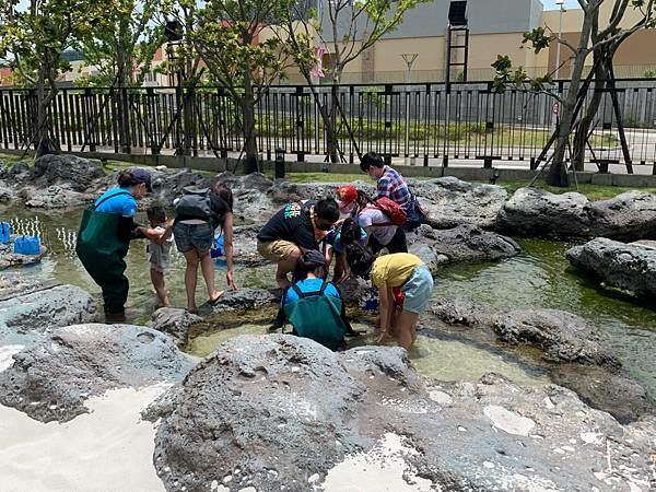 [ 桃園水族館 ] Xpark/企鵝隧道/巨型透明觀景窗/水母水晶球/觀賞企鵝咖啡廳