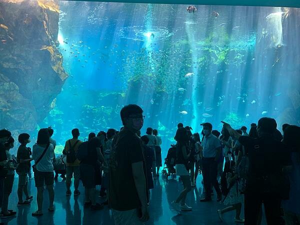 [ 桃園水族館 ] Xpark/企鵝隧道/巨型透明觀景窗/水母水晶球/觀賞企鵝咖啡廳