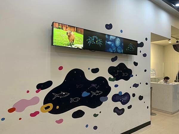 [ 桃園水族館 ] Xpark/企鵝隧道/巨型透明觀景窗/水母水晶球/觀賞企鵝咖啡廳