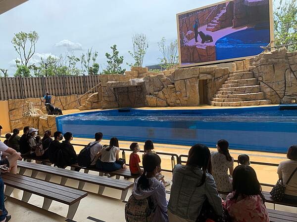 [ 桃園水族館 ] Xpark/企鵝隧道/巨型透明觀景窗/水母水晶球/觀賞企鵝咖啡廳