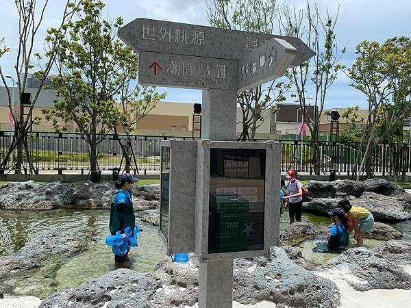 [ 桃園水族館 ] Xpark/企鵝隧道/巨型透明觀景窗/水母水晶球/觀賞企鵝咖啡廳