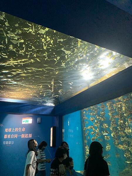 [ 桃園水族館 ] Xpark/企鵝隧道/巨型透明觀景窗/水母水晶球/觀賞企鵝咖啡廳