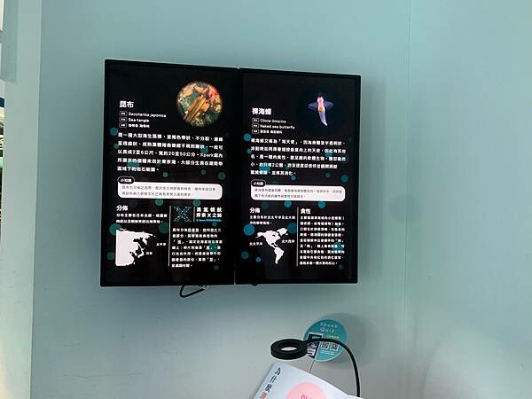 [ 桃園水族館 ] Xpark/企鵝隧道/巨型透明觀景窗/水母水晶球/觀賞企鵝咖啡廳