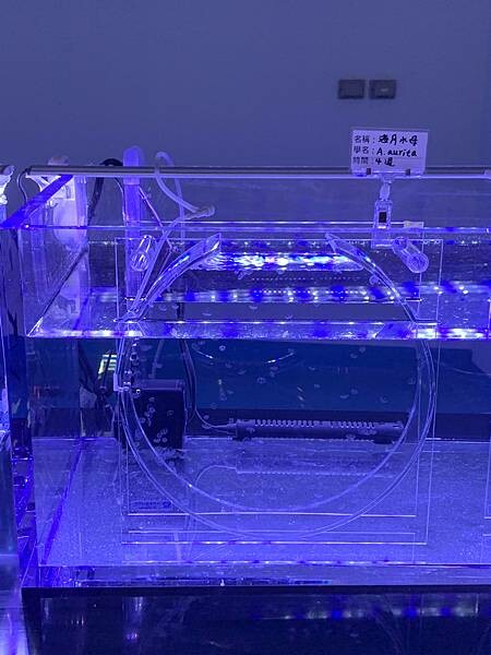 [ 桃園水族館 ] Xpark/企鵝隧道/巨型透明觀景窗/水母水晶球/觀賞企鵝咖啡廳