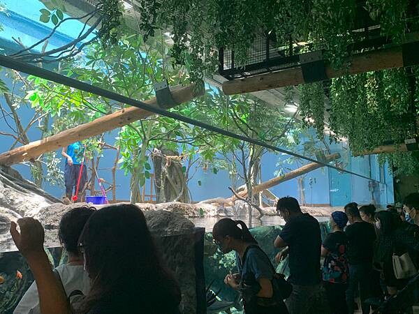 [ 桃園水族館 ] Xpark/企鵝隧道/巨型透明觀景窗/水母水晶球/觀賞企鵝咖啡廳